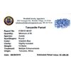Image 2 : 15.55ctw Round Mixed Tanzanite Parcel