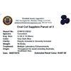 Image 2 : 16.52ctw Oval Cut Sapphire Parcel