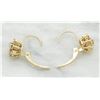 Image 7 : 0.78ctw Diamond Earrings - 14KT Yellow  Gold