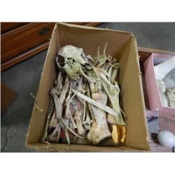 BOX OF ASSORTED BONES