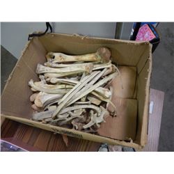 BOX OF ASSORTED BONES