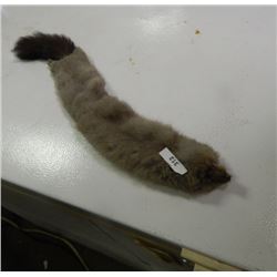 FUR WITH HEAD& TAIL - FERRET?