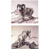 Image 1 : Tom Sander (b.1938.) Pair of Wildlife Sketches. Graphite on Paper. Bighorn Sheep. 8.75" x 10" & M…