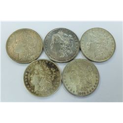 US COINS-MORGAN DOLLAR LOT OF 5