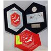 Image 1 : RCM CDN FORCES SNOWBIRDS COIN & STAMP