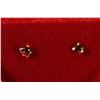 Image 1 : 10KT GOLD GARNET EARRINGS