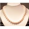 Image 1 : #3-STERLING SILVER CLASP FRESHWATER PEARL NECKLACE