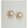 Image 1 : Freshwater Pearl Earrings