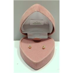 10K Gold Aquamarine Earrings