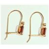 Image 3 : 10K Gold Garnet & Diamond Earrings