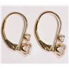 Image 2 : 10K Gold Cubic Zirconia Earrings
