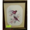 Image 1 : FRAMED CARDINALS LITHOGRAPH WITH SIGNATURE BY