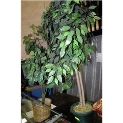 PAIR OF LARGE DECORATIVE PLANTS