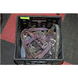 BOX OF HORSE BRIDLES