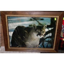 LARGE COUGAR PRINT IN WOOD FRAME
