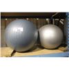 Image 1 : 2 EXERCISE BALLS