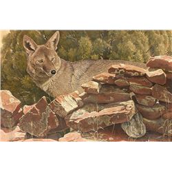 Nicholas Wilson | b. 1947 | Hide n' Seek