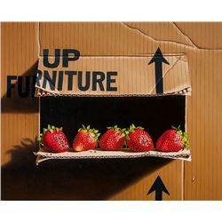 Otto Duecker | b. 1948 | Up with Strawberries