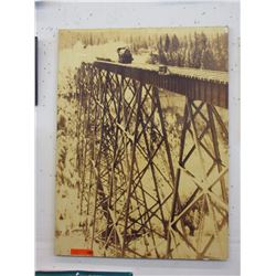 Train print on board