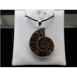 Ammonite fossil necklace in gift box