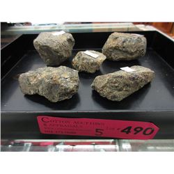 460 Grams of Raw Amber