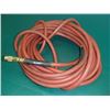 Image 1 : Amflo Pneumatic 50' Hose