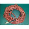 Image 2 : Amflo Pneumatic 50' Hose