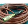 Image 3 : Amflo Pneumatic 50' Hose