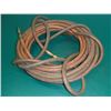 Image 1 : 50' Pneumatic Hose- 22097SP