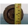 Image 8 : Heald Red Head Spindle Unit, Type- 43-4B