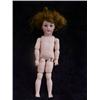 Image 1 : 15in. SIMON HALBIG BISQUE DOLL