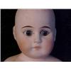 Image 2 : 17in. BISQUE DOLL