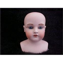 12in. BISQUE SHOULDER DOLL HEAD