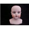 Image 1 : 12in. BISQUE SHOULDER DOLL HEAD