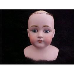 13in. KISTNER BISQUE DOLL HEAD