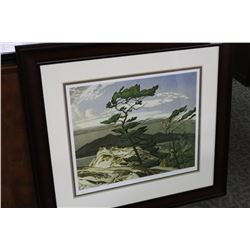 AJ CASSON 'WHITE PINE' 103/950 LIMITED EDITION PRINT