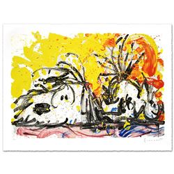 Blow Dry by Tom Everhart