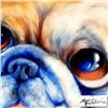 Image 2 : Adorable Pug By Marcia Baldwin