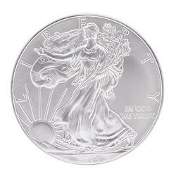 2014 American Silver Eagle Dollar Coin