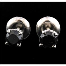 14KT White Gold 0.50ctw Black Diamond Earrings