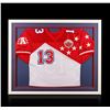 Dan Marino Framed Autographed All-star Jersey