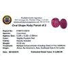 Image 2 : 19.30ctw Oval Mixed Ruby Parcel