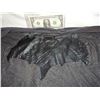Image 2 : BATMAN VS SUPERMAN CHEST GLYPH WITH COSTUME MATERIAL