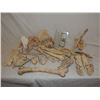Image 1 : BONES HUGE LOT NO RESERVE!
