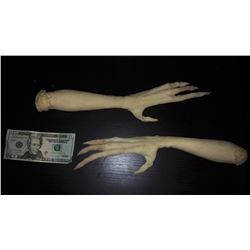 ALIEN MINIATURE ARM CASTINGS PAIR