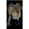 Image 1 : FALLING SKIES SCREEN USED SKITTERIZED CREATURE SUIT