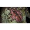Image 2 : FALLING SKIES SCREEN USED SKITTERIZED CREATURE SUIT