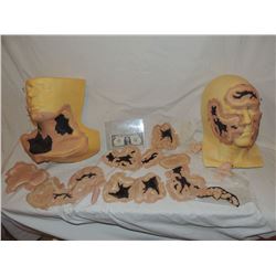 LAZARUS EFFECT THE HERO ZOE [OLIVIA WILDE] SILICONE MAKE UP HUGE LOT