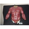 Image 1 : X MEN THE LAST STAND JUGGERNAUT SCREEN USED STUNT SUIT CHEST WITH ARMS