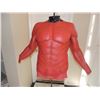 Image 1 : HELLBOY SCREEN USED CHEST WITH ARMS 2
